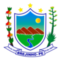 Brasão de Brejinho