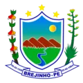 Brasão de Brejinho